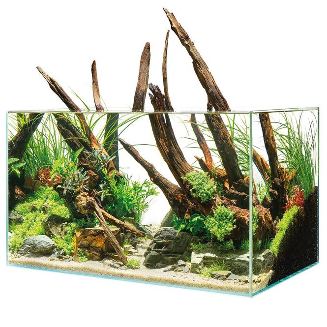 Hovedbilde Oase ScaperLine 100 Akvarium