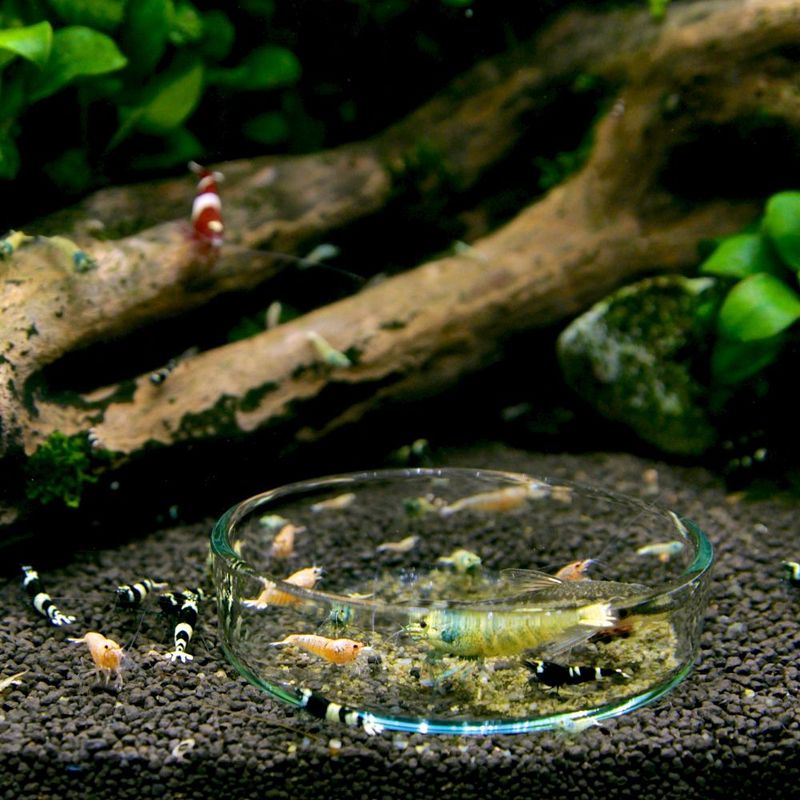 Reke MatSkål Glass 60mm 