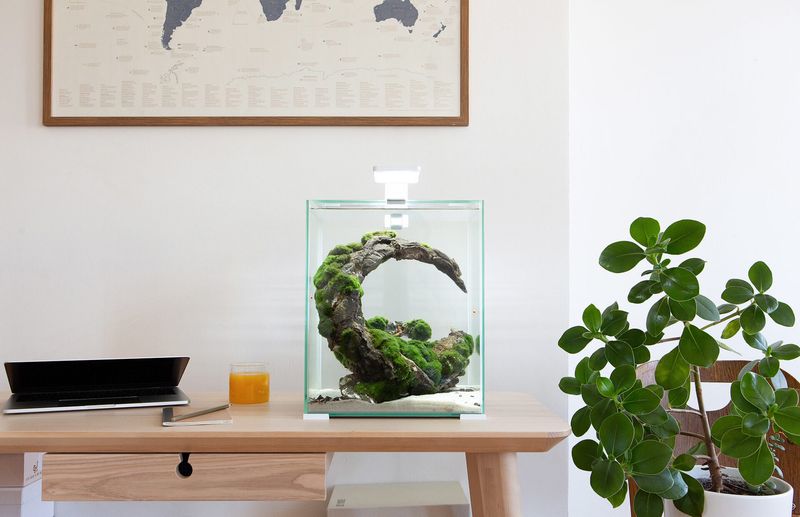 Aquael Shrimpset Smart 2 Day & Night 10liter Hvit 
