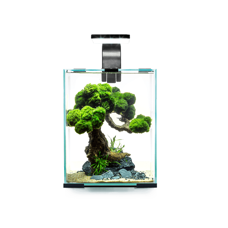 Aquael Shrimpset Smart 2 Day & Night 10liter Hvit 