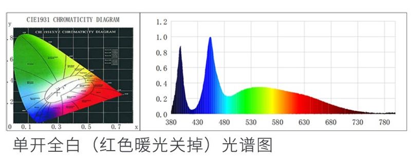 CHIHIROS X300 X Silver