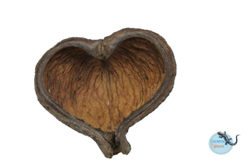 Thelambu pods 