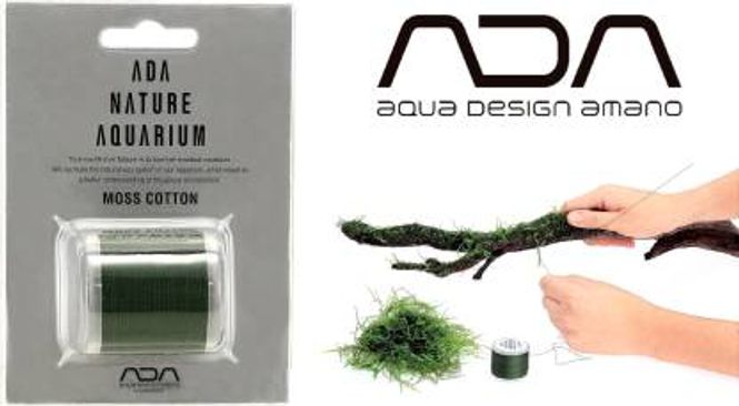 Hovedbilde ADA MOSS COTTON 