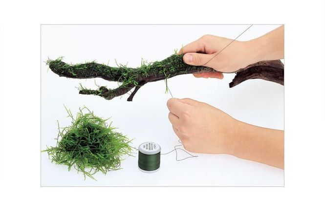 Hovedbilde ADA MOSS COTTON 
