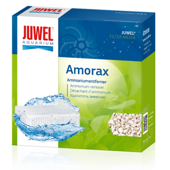 Hovedbilde Juwel Amorax - Large