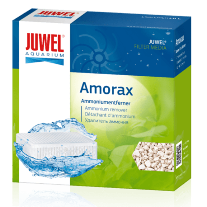 Hovedbilde Juwel Amorax - Medium