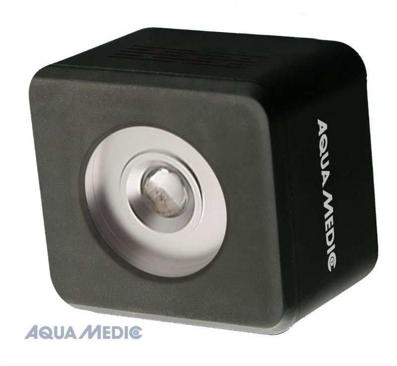 QUBE 50 PLANT LED