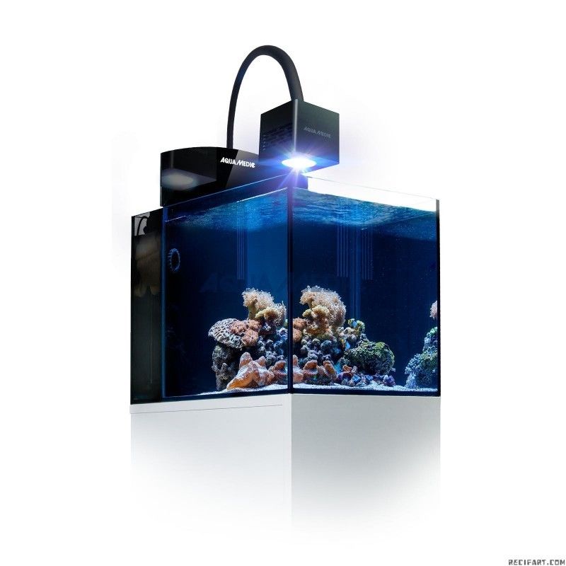 QUBE 50 LED-SPOT