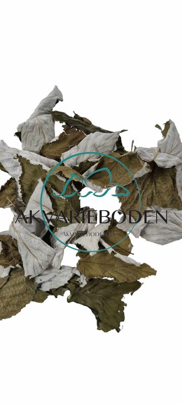Raspberry leaves  10pk