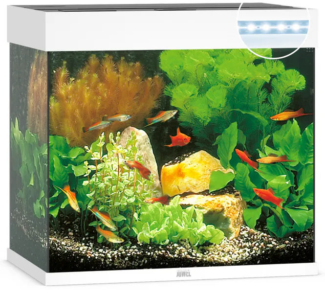 Hovedbilde Lido 120 LED Hvit
