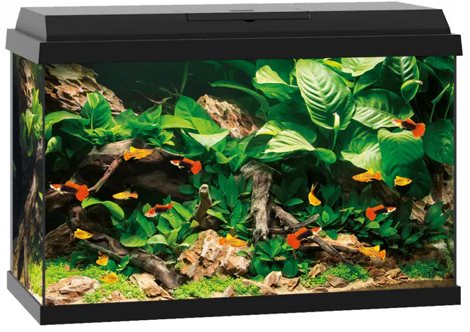 Hovedbilde Primo 70 LED Sort