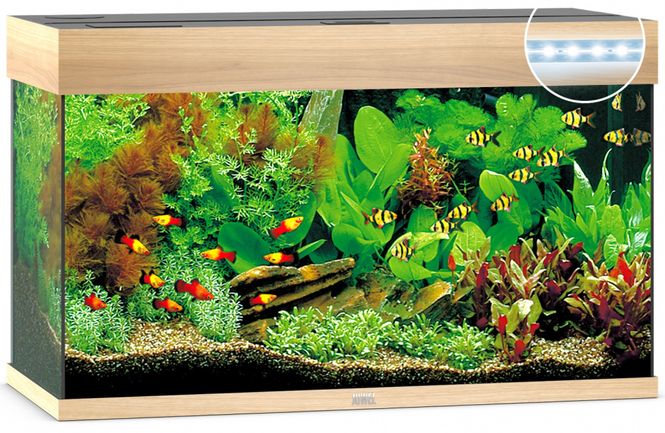 Hovedbilde Rio 125 LED Eik