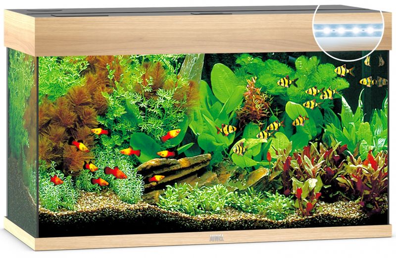 Rio 125 LED Eik