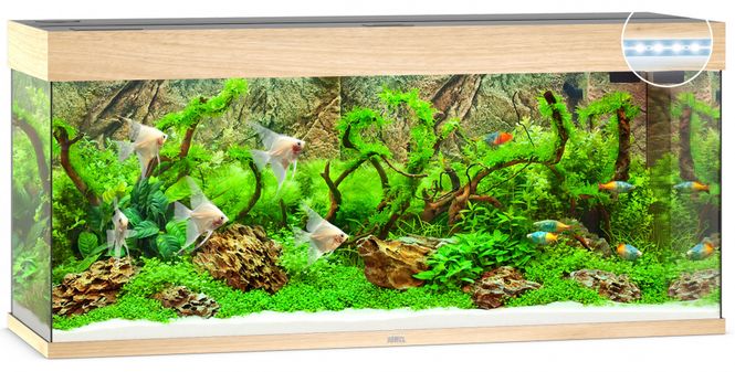 Hovedbilde Rio 240 LED Eik
