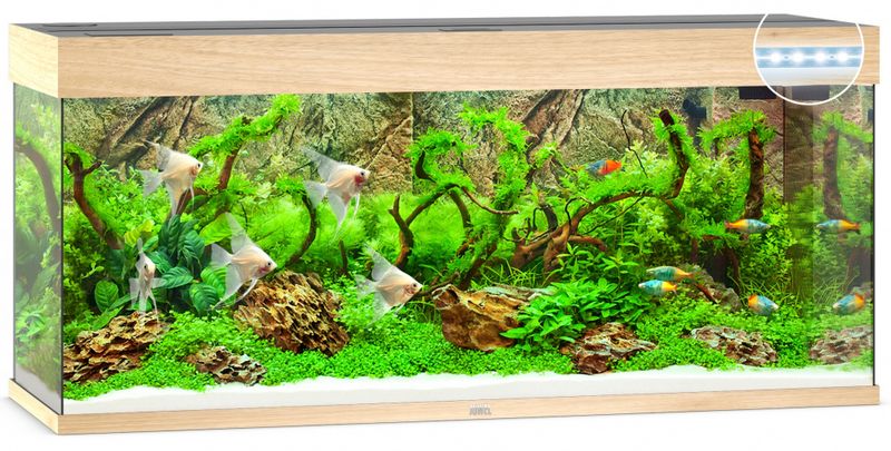 Rio 240 LED Eik