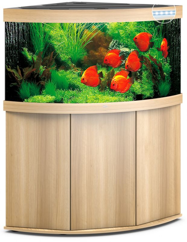 Trigon 350 LED Eik
