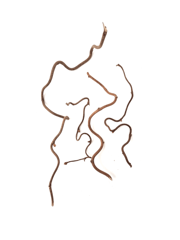 Wio Twisted Root Mix100  80, 10 - 30cm