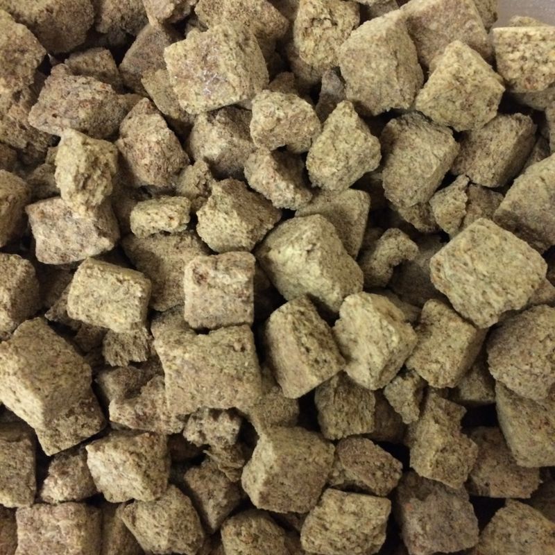 Artemia Kuber - 100ml 