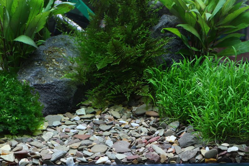 Dennerle Rio-Xingu Mix Gravel 2-22mm 5kg