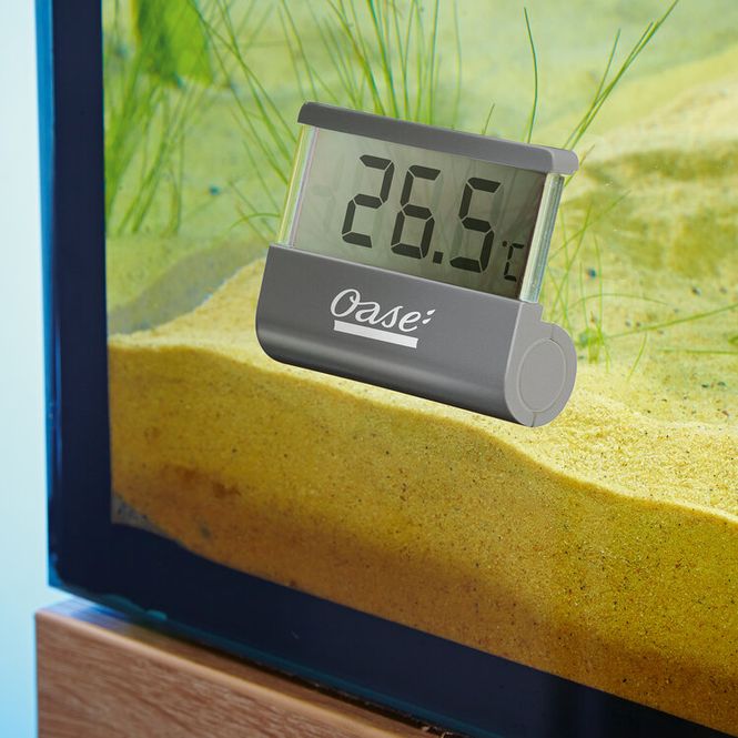 Hovedbilde Oase Digital thermometer