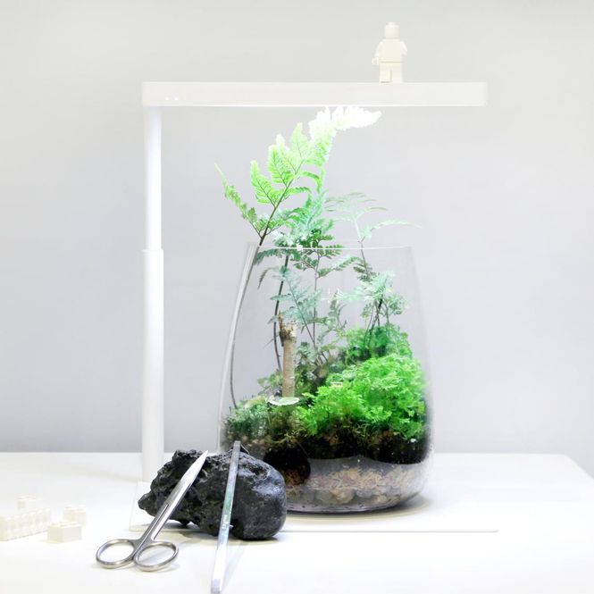 Hovedbilde ONF Moss Micro Landscape inkl ONF Flat Nano Lys 