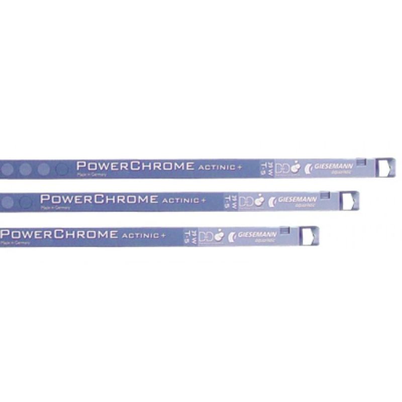 Giesemann Powerchrome Actinic + 24w T5