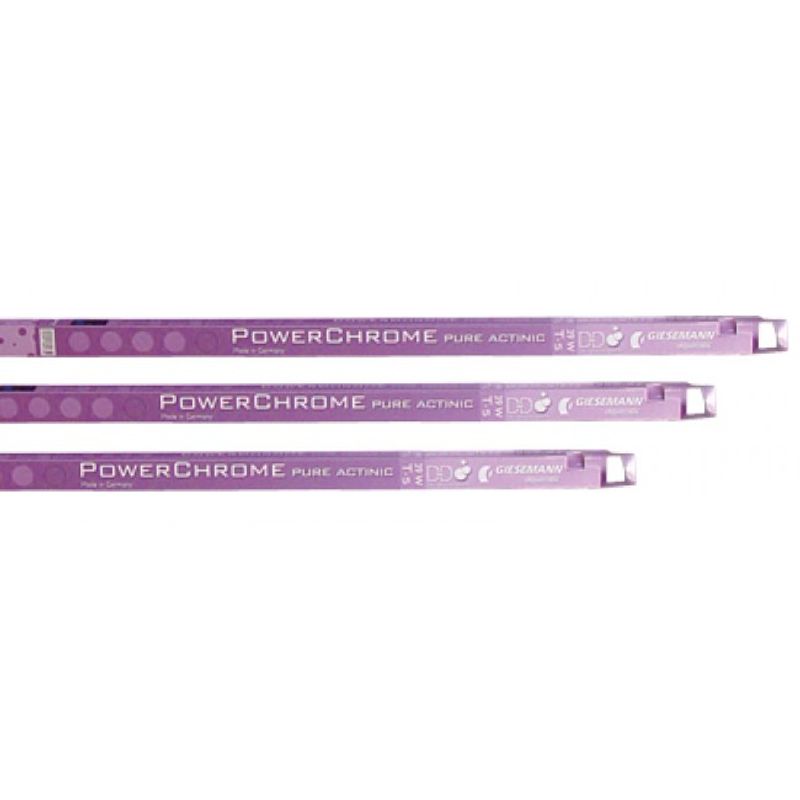 Giesemann Powerchrome Pure Actinic + 24w T5