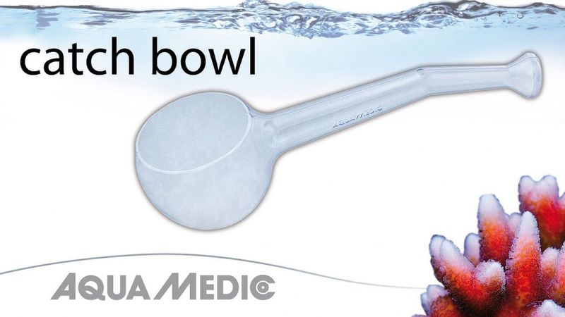 Catch Bowl 