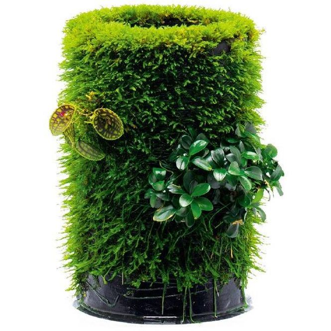 Hovedbilde Dooa Terra Base L