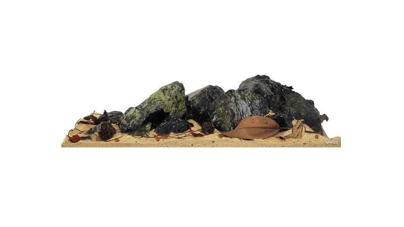 Wio Everglades River Kit