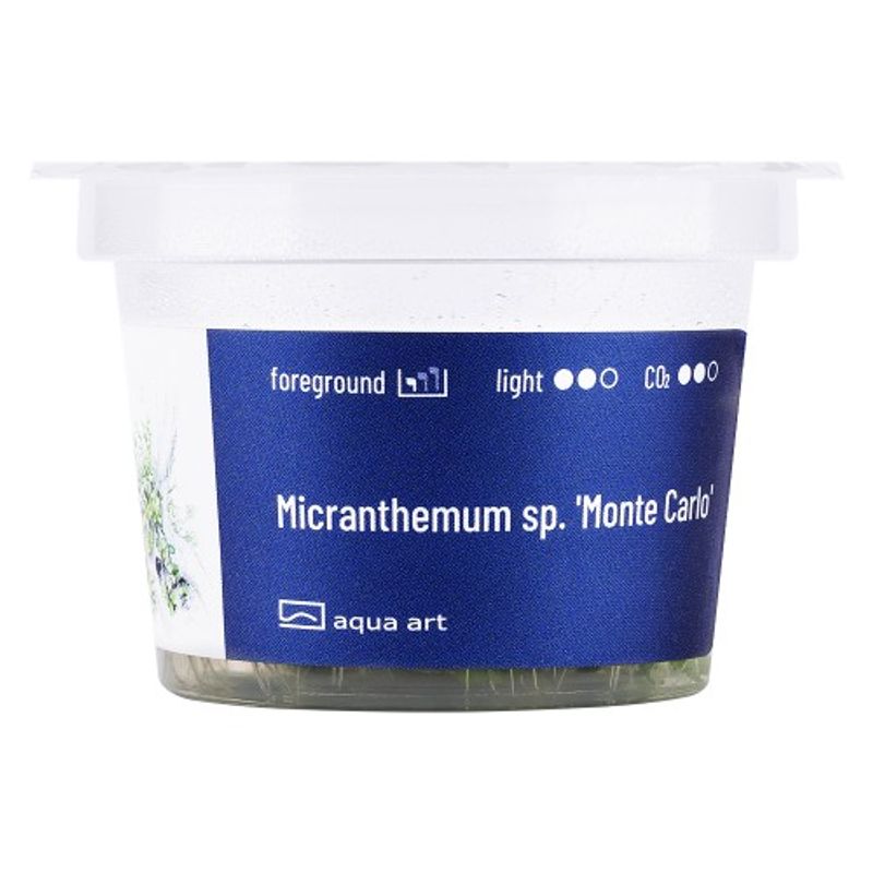 Aqua-Art Invitro Micranthemum 'Monte Carlo'