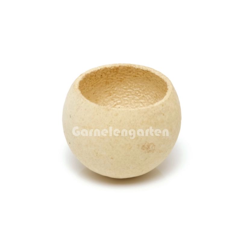 Bell Cup natural