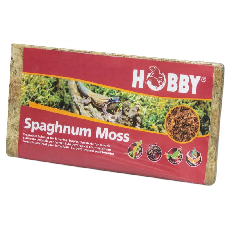 Hobby Spagnum moss 100g