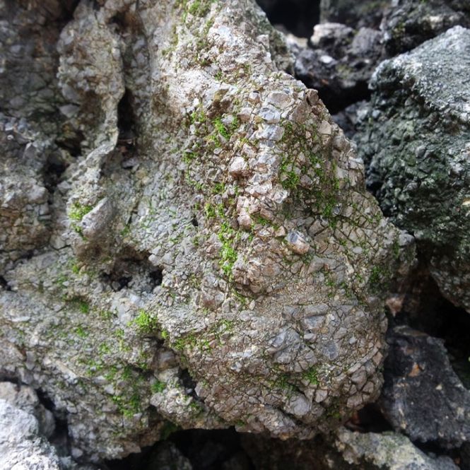 Hovedbilde AMELIA ROCK 10-20cm