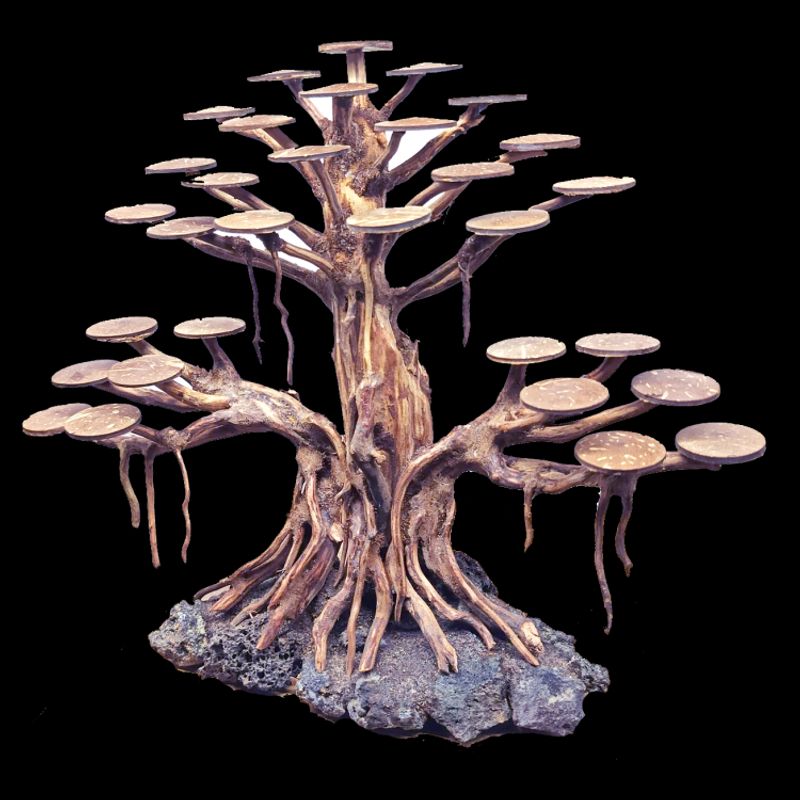BONSAI RASAMALA  Medium 
