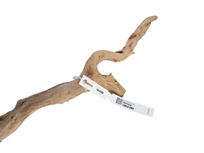 Hovedbilde Wio Neptune Wood 80-100cm