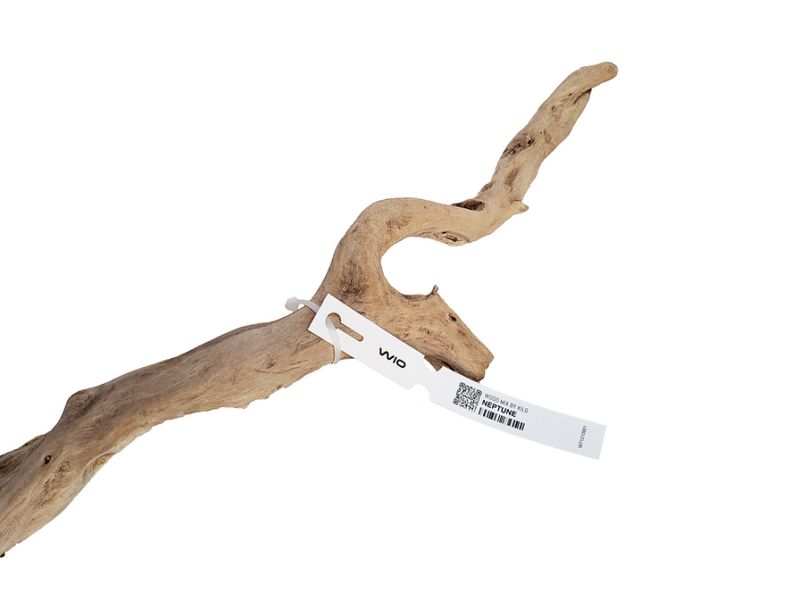 Wio Neptune Wood 80-100cm