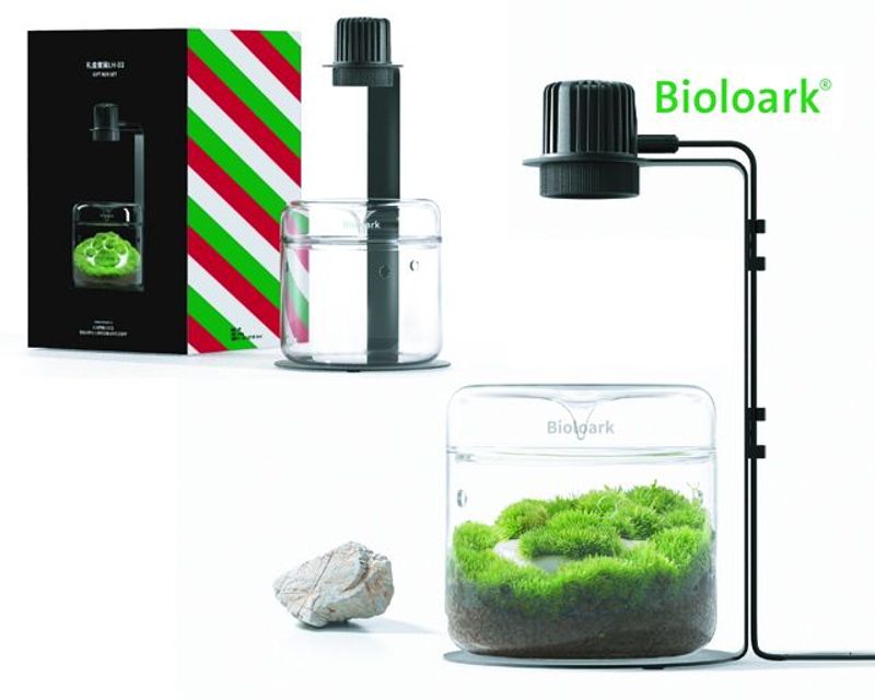 Bioloark Wabi-Kusa Set