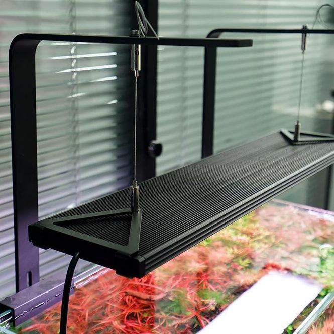CHIHIROS WRGB II PRO 120cm - Akvarieboden