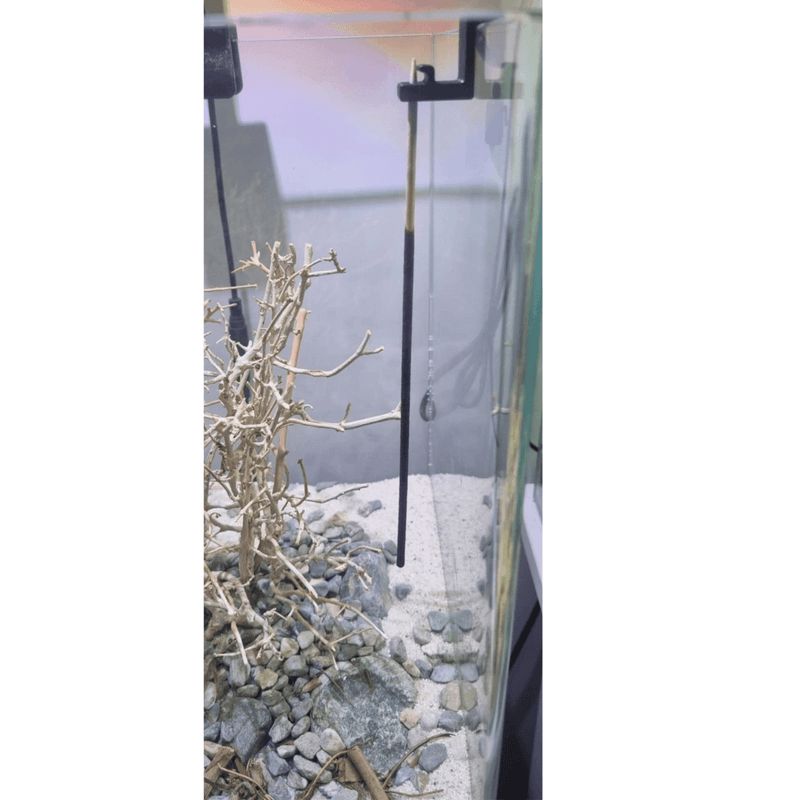 AB Shrimp Lollis Klippon Holder 2pk