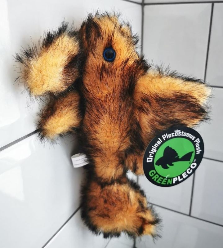 Green Pleco Fluffy pleco plush