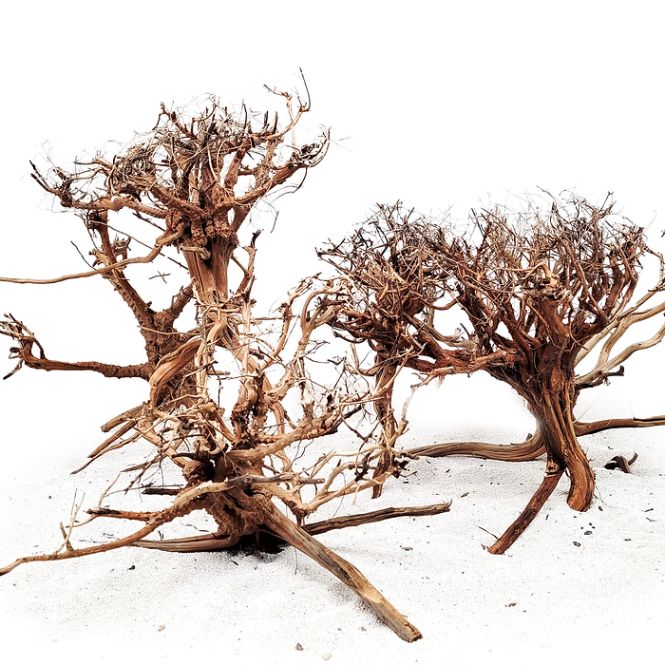 Hovedbilde Wio Rebel Wood Medium  25 - 40cm