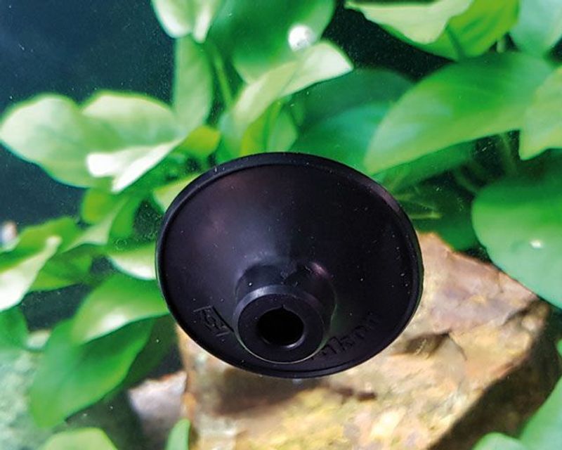 Sugekopp Universal Eheim /hobby 2pk