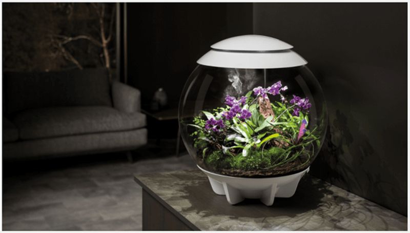 Oase Biorb air 30liter Sort 