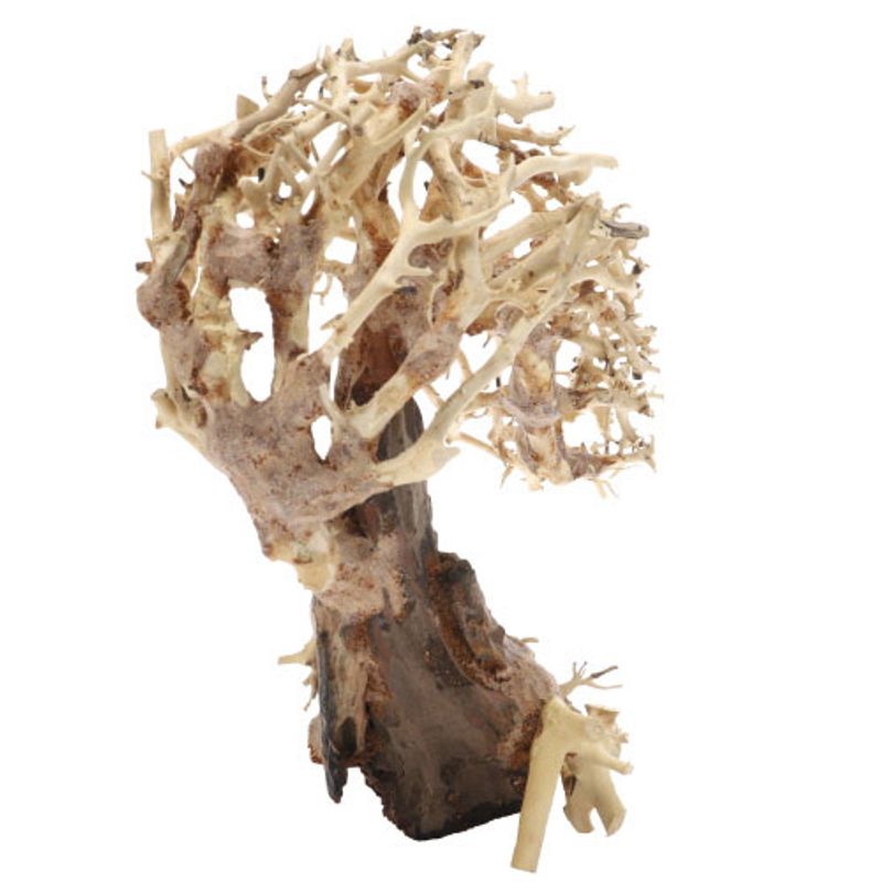 Crooked Root Small 